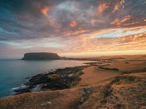 The Nut - Travel Agents 2