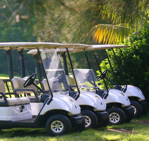 The Vale Golf Course - Tourism Guide 0