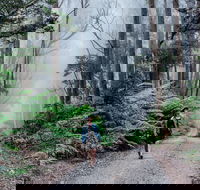 The Corn Trail Walking Track - Travel Agents