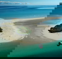 Turtle Discovery - Cruises Travel