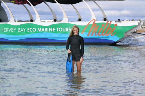 Turtle Discovery - Cruises Travel 1