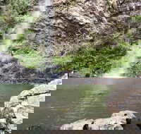 Twin Falls Circuit Springbrook National Park - Tourism Guide