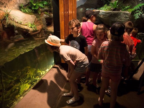 Walkabout Creek Discovery Centre - Travel Agents 2