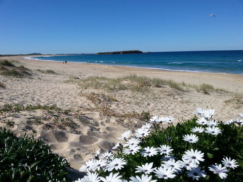 Warilla - Tourism Guide 1