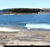Wasp Head Picnic Area - Tourism Guide