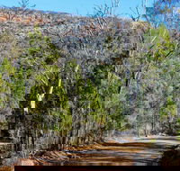 Weddin Gap to Black Spring Loop Trail - Cruises Travel
