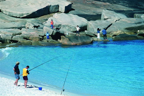 Windy Harbour And Salmon Beach - Tourism Guide 1
