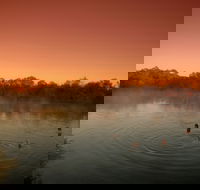 Witjira National Park - Tourism Guide