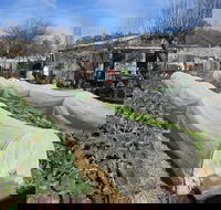 Wynlen House Tour a Unique Urban Regenerative Farm and Market Garden - Travel Agents