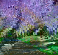 Alowyn Gardens and Nursery - Travel Agents