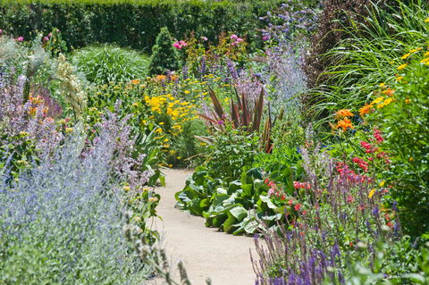 Alowyn Gardens And Nursery - Tourism Guide 2