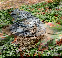 Antony Symons - Retrospective of a Life's Work - Travel Agents