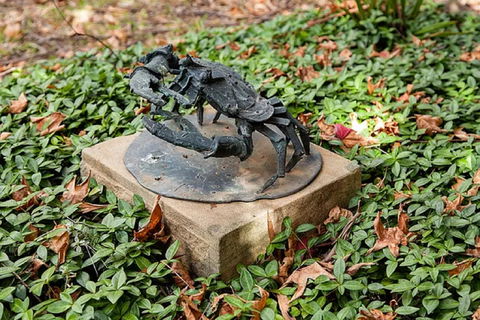 Antony Symons - Retrospective Of A Life's Work - Tourism Guide 0