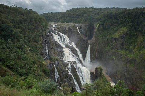 Barron Falls Lookout Track, Barron Gorge National Park - Tourism Guide 0