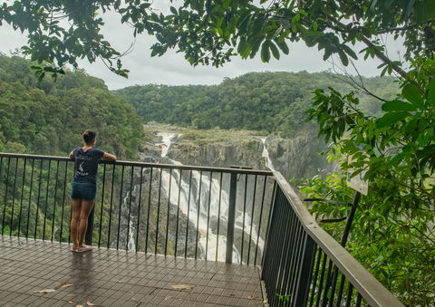 Barron Falls Lookout Track, Barron Gorge National Park - Tourism Guide 1