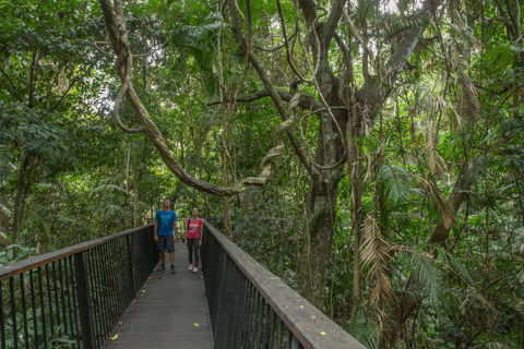 Barron Falls Lookout Track, Barron Gorge National Park - Tourism Guide 2