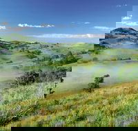Bega - Tourism Guide