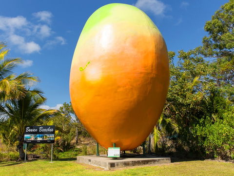 Big Mango - Tourism Guide 0