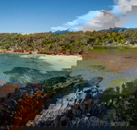 Bittangabee Bay - Travel Agents