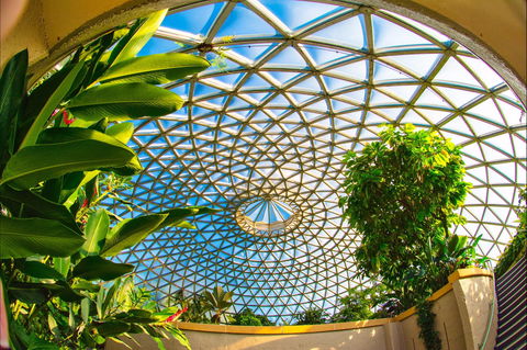 Brisbane Botanic Gardens Mount Coot-tha - Tourism Guide 0