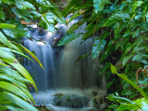 Brisbane Botanic Gardens Mount Coot-tha - Tourism Guide 1