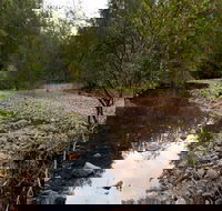Budawang National Park - Tourism Guide
