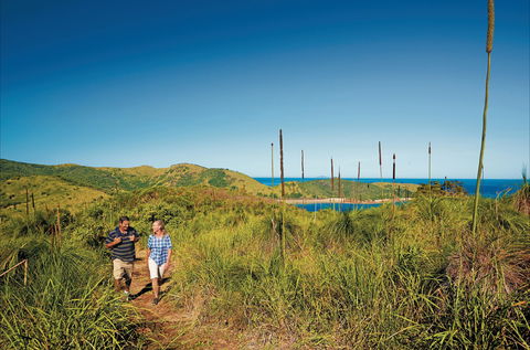 Bushwalking On Keswick Island - Tourism Guide 0