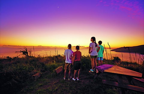 Bushwalking On Keswick Island - Tourism Guide 2