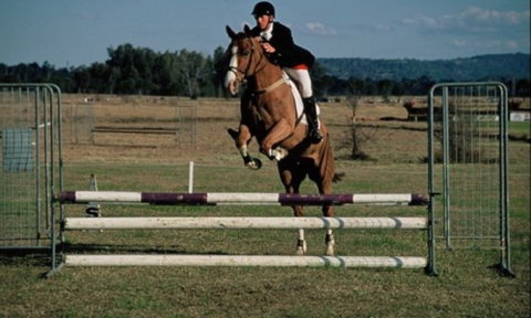 Camden Bicentennial Equestrian Park - Tourism Guide 0
