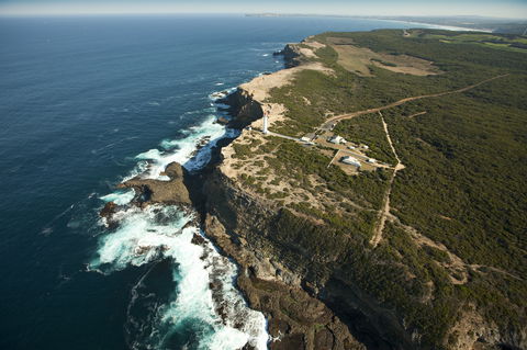 Cape Nelson State Park - Travel Agents 1