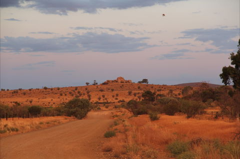 Castle Rock Walk And Lookout - Tourism Guide 0
