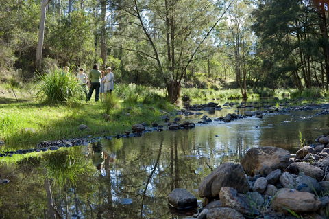 Condamine Gorge '14 River Crossing' - Cruises Travel 0
