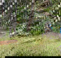 Federal Falls Walk - Travel Agents