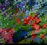 Ferry Artists Gallery - Travel Agents