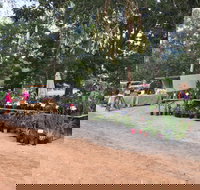 Fred's Pass Rural Market - Travel Agents