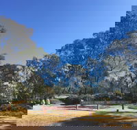 Grenfell Endemic Garden - Cruises Travel