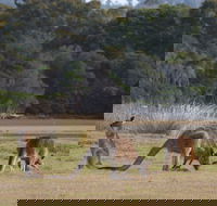 Great Nature Trail - Tourism Guide