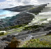 Great Ocean Road - Travel Agents