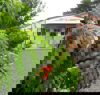 Gully Gardens - Travel Agents