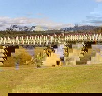 Historic Tabulam DeBurgh Timber Bridge - Tourism Guide
