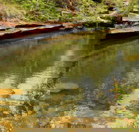 Hominy Creek Walking Track - Tourism Guide