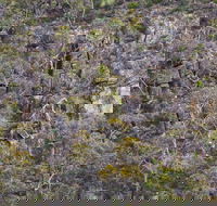 Horsnell Gully and Giles Conservation Parks - Tourism Guide