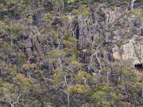 Horsnell Gully And Giles Conservation Parks - Tourism Guide 0