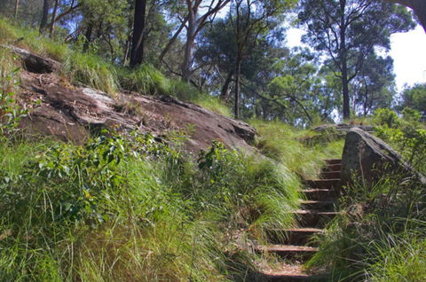 Ingleburn Reserve - Tourism Guide 2