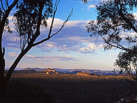 Ka Ka Mundi, Carnarvon National Park - Tourism Guide 0