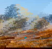 Kambah Pool to Pine Island Walking Trail - Travel Search