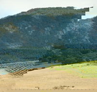 Langi Ghiran State Park - Travel Agents