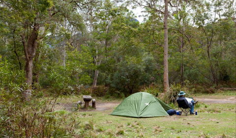 Long Gully Picnic Area - Tourism Guide 0