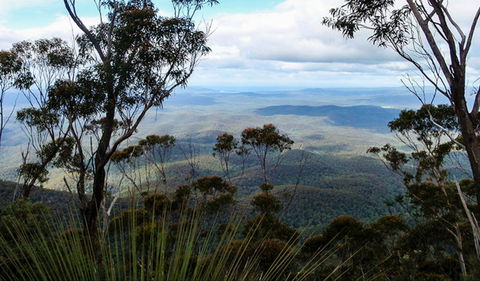 Mount Imlay National Park - Tourism Guide 0