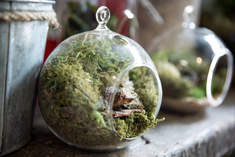 Moxom And Whitney - Travel Agents 0